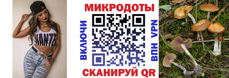 OMG вход  как найти закладки  Белебей  Псилоцибиновые грибы GOLDEN TEACHER 