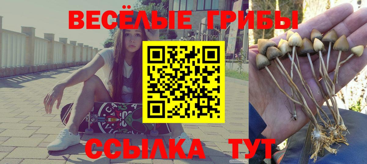 Галлюциногенные грибы Cubensis Белебей